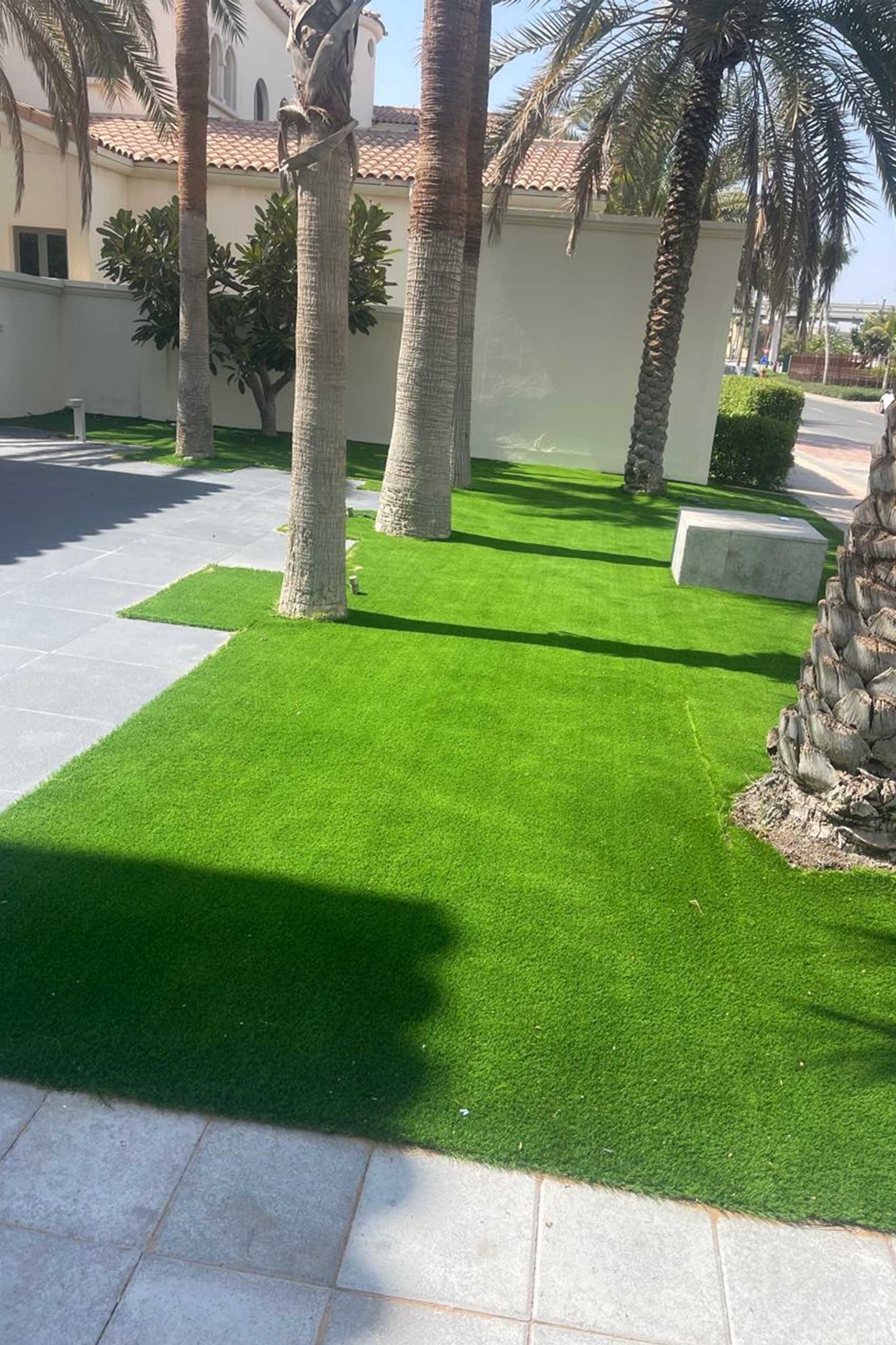 Artificial Grass